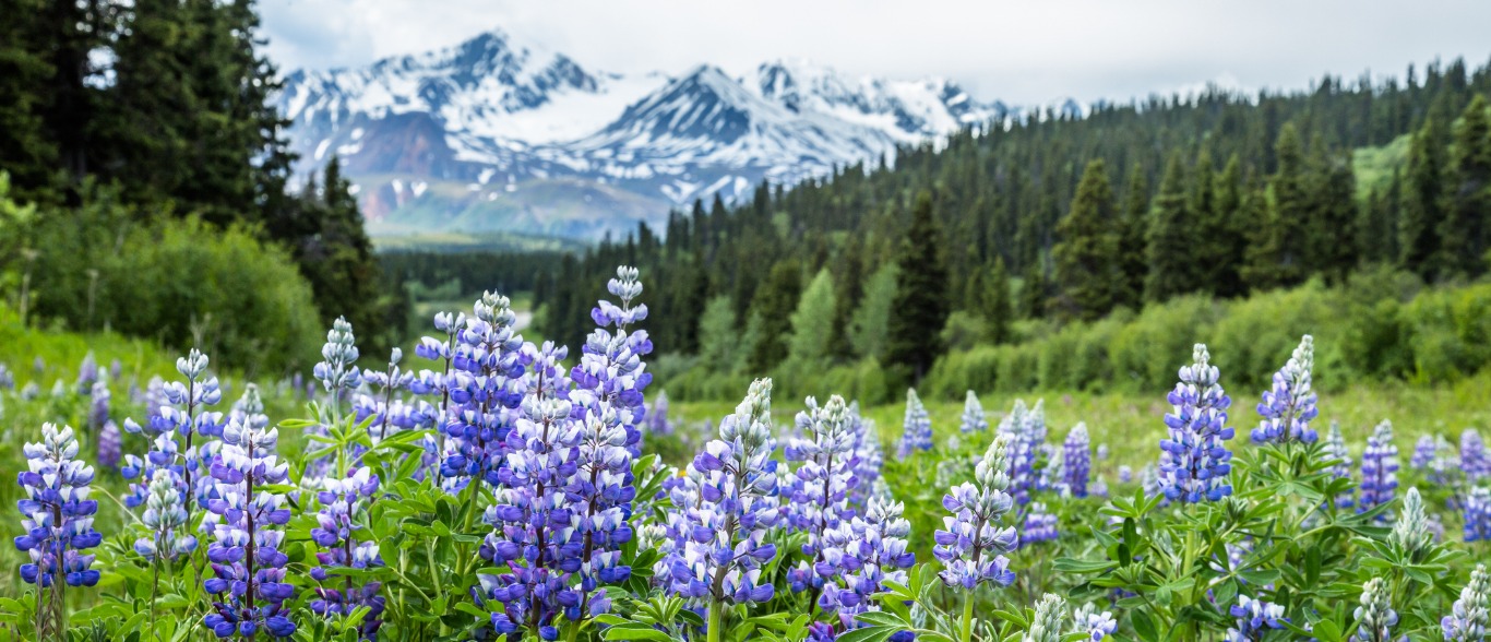 Alaska Housing Finance Corporation Investors