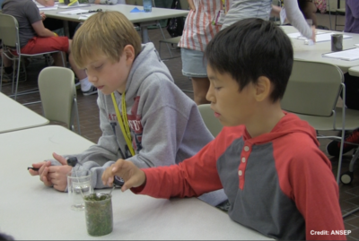 ANSEP Pic2 990514079e04513c