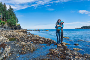 IStock 186652410   Blog Post Horizontal